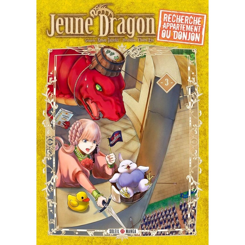 Jeune Dragon Recherche Appartement Ou Donjon