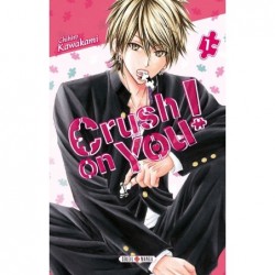 Crush on You - Tome 1
