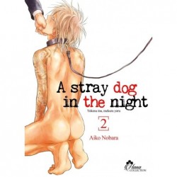 A stray dog in the night -...