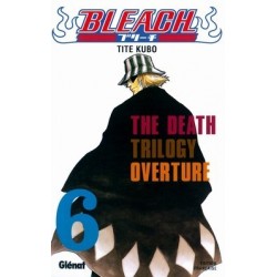 Bleach tome 6