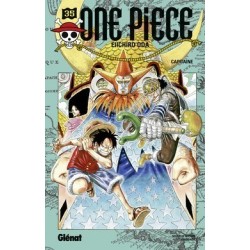 One piece tome 35