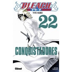 Bleach tome 22