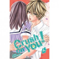 Crush on You - Tome 6