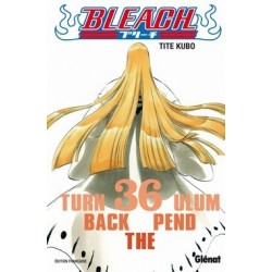 Bleach tome 36