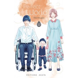 Perfect World Vol.12