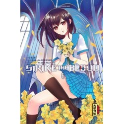 Strike the blood - Tome 06