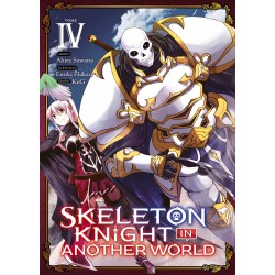 Skeleton Knight in Another...