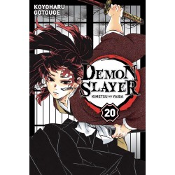 Demon Slayer - Tome 20