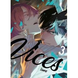 Vices - Tome 3