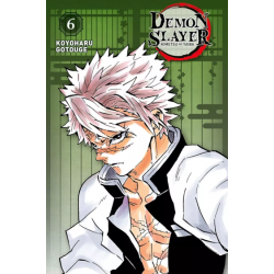 Demon Slayer - Edition...