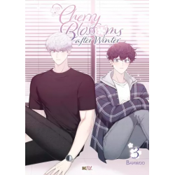 Cherry Blossoms After...