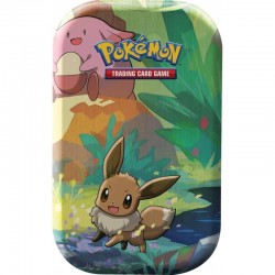 Mini Pokébox Mai 2019 evoli