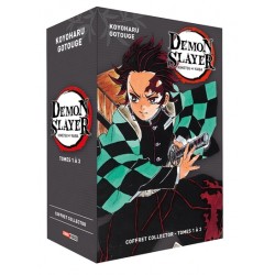 Demon Slayer - Coffret...