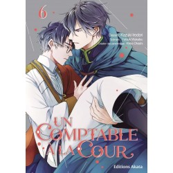 Un Comptable à la Cour -...