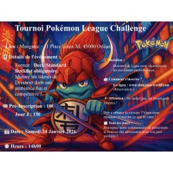 24 Janvier - Challenge Pokémon