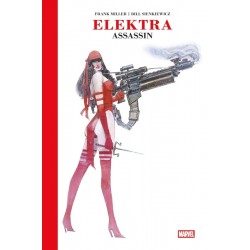 Elektra : Assassin