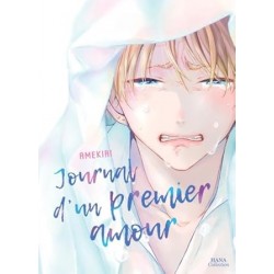 Journal d'un premier amour