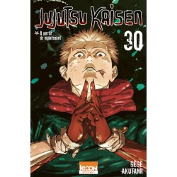 Jujutsu Kaisen - Tome 30