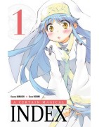 A Certain Magical Index