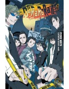 Durarara - Light Novel
