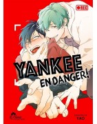 Yankee en danger