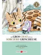 Le Gros Chat et la Sorcière Grincheuse