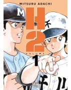 H2 - Perfect Edition