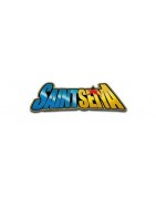 blokees saint seiya